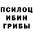 Галлюциногенные грибы Cubensis Olha Redko
