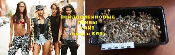 сатива Бугульма