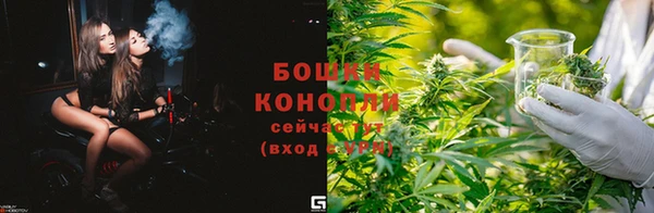 ГАЛЛЮЦИНОГЕННЫЕ ГРИБЫ Богородск