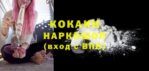 молекула духа Бородино