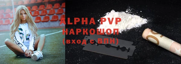 молекула духа Бородино