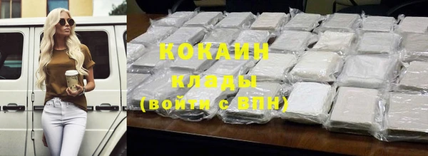 молекула духа Бородино