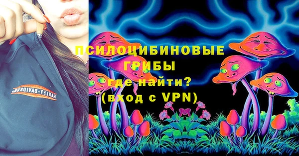 молекула духа Бородино