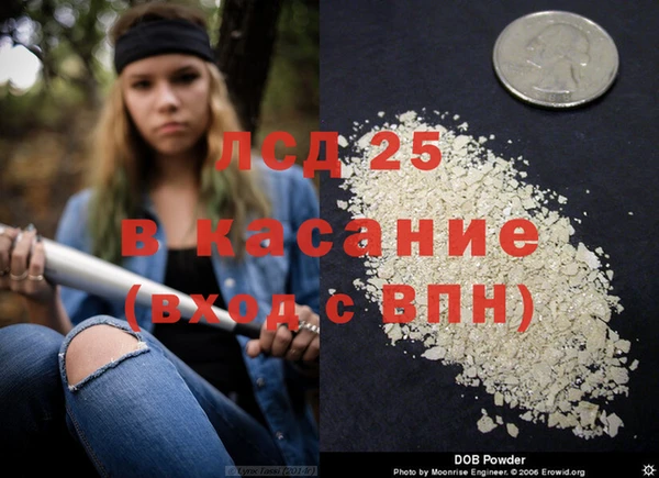 сатива Бугульма