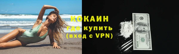 молекула духа Бородино