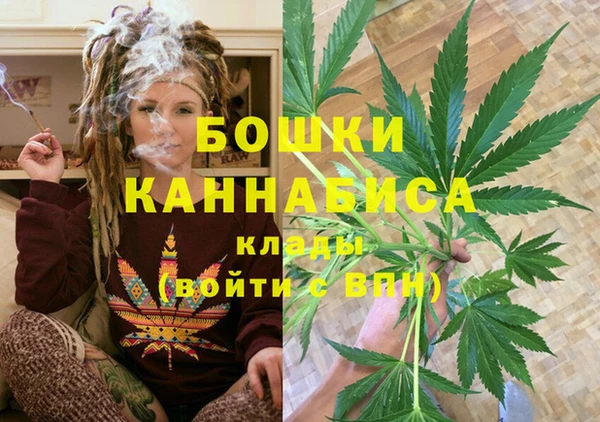 молекула духа Бородино