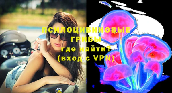 молекула духа Бородино