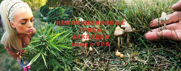 сатива Бугульма