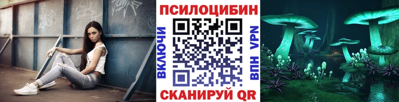 закладка  Острогожск  Псилоцибиновые грибы GOLDEN TEACHER 